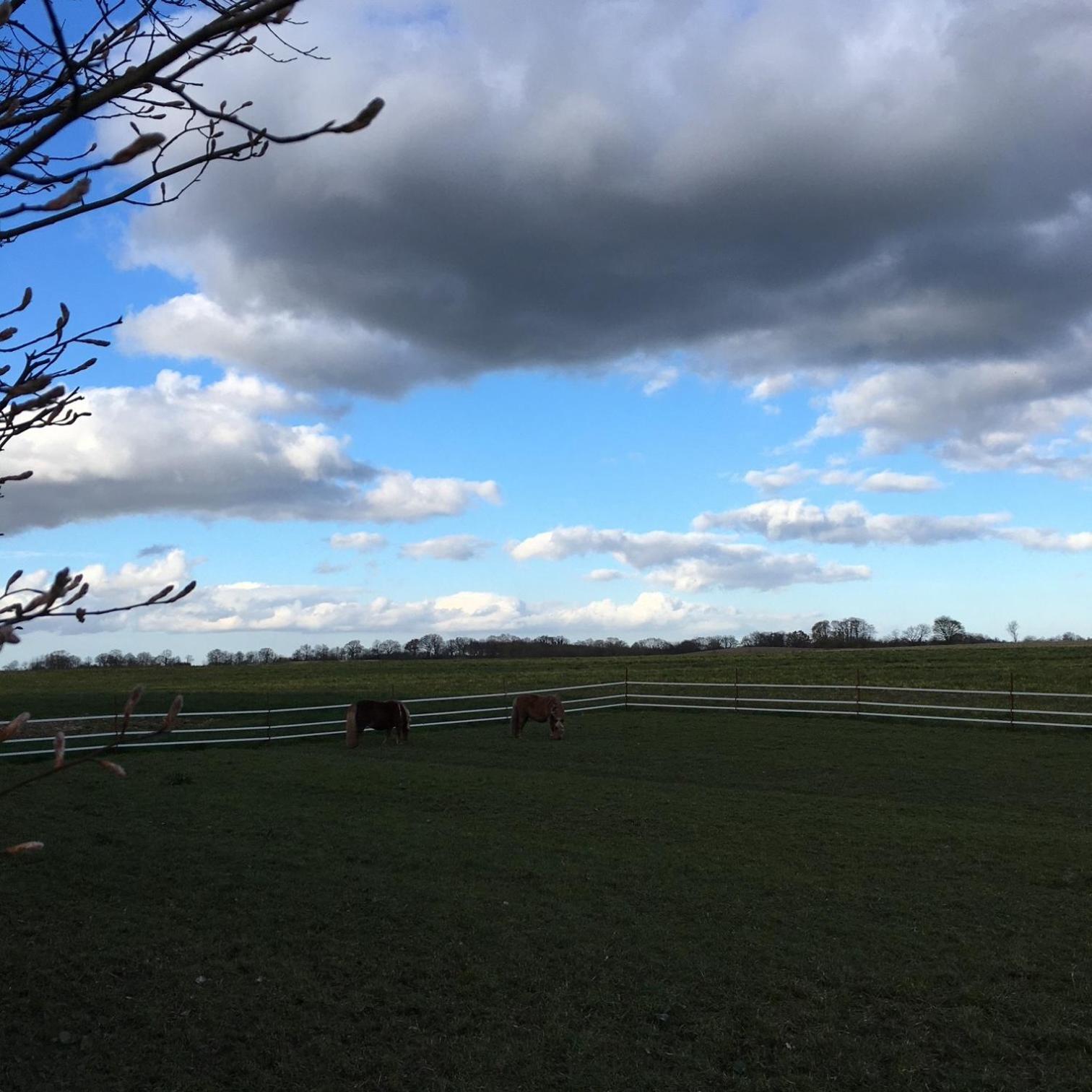 Hansecottage Stockelsdorf Luaran gambar